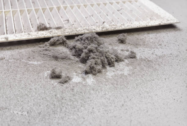 Best Local Air Duct Cleaning Services  in West Point, UT