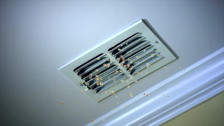 Best Residential Air Duct Cleaning  in West Point, UT